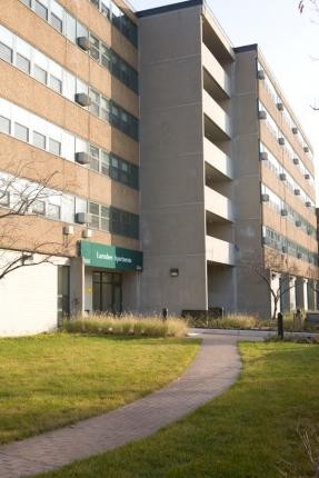 Elizabeth Woods Apartments in Chicago, IL - Building Photo