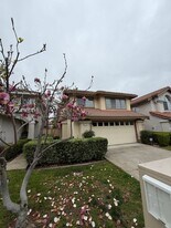 1523 Allegro Ave in Concord, CA - Building Photo