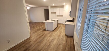 10029 Little Tree Ln in Fort Worth, TX - Building Photo - Building Photo