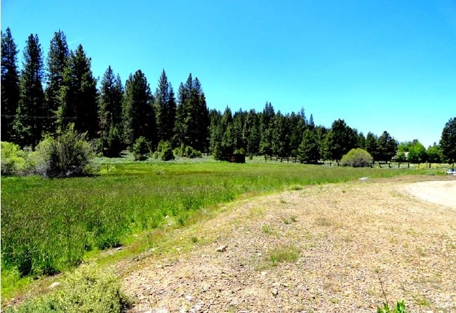 10320 Old Brockway Rd in Truckee, CA - Building Photo - Other