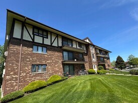 11006 Theresa Cir, Unit 2 in Palos Hills, IL - Building Photo
