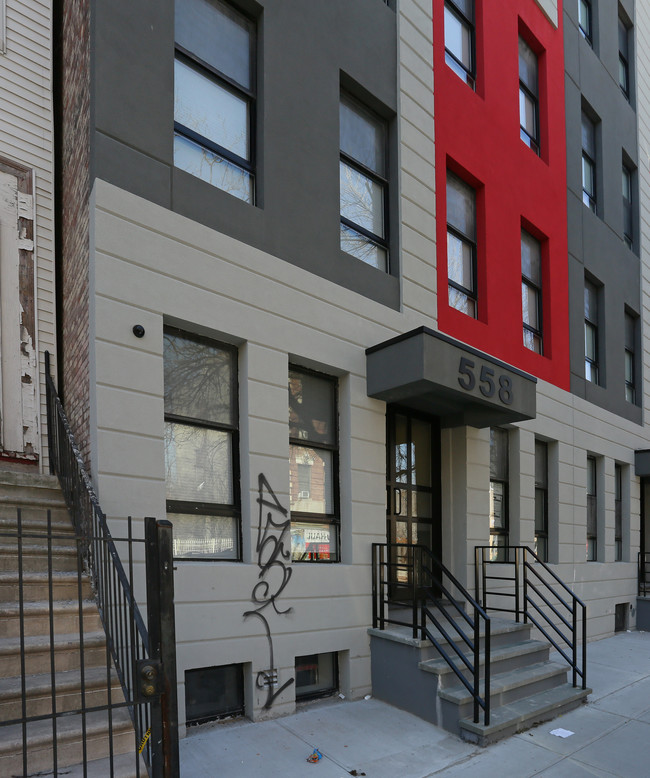 558 Gates Ave in Brooklyn, NY - Building Photo - Building Photo