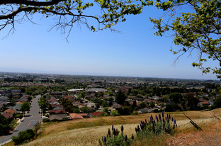 Hurst Highland Village Apartments