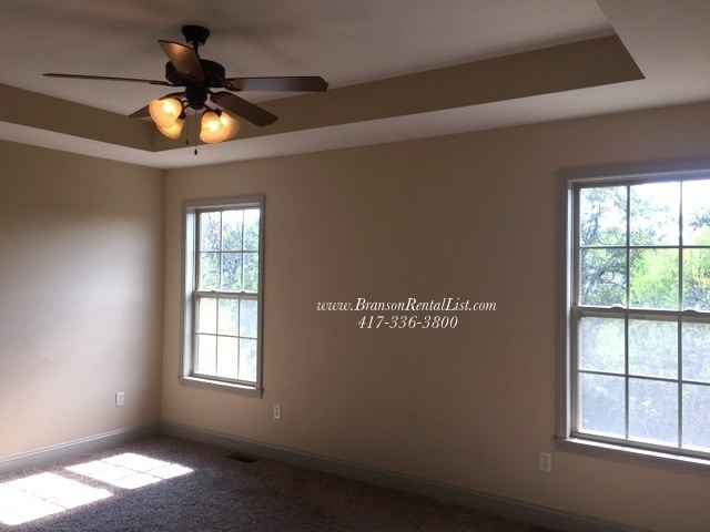 191 RoundHill Rd in Branson, MO - Building Photo - Building Photo