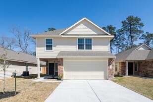 25223 Sanitas Valley Dr in Porter, TX - Building Photo