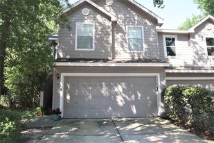 10 Butterfly Branch Pl in Spring, TX - Building Photo