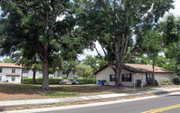 Clearwater Apartments in Clearwater, FL - Building Photo - Building Photo