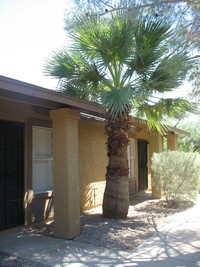 35 W Inglewood in Mesa, AZ - Building Photo - Building Photo