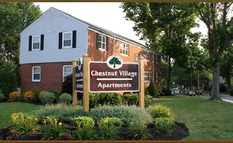 Chestnut Village Apartamentos