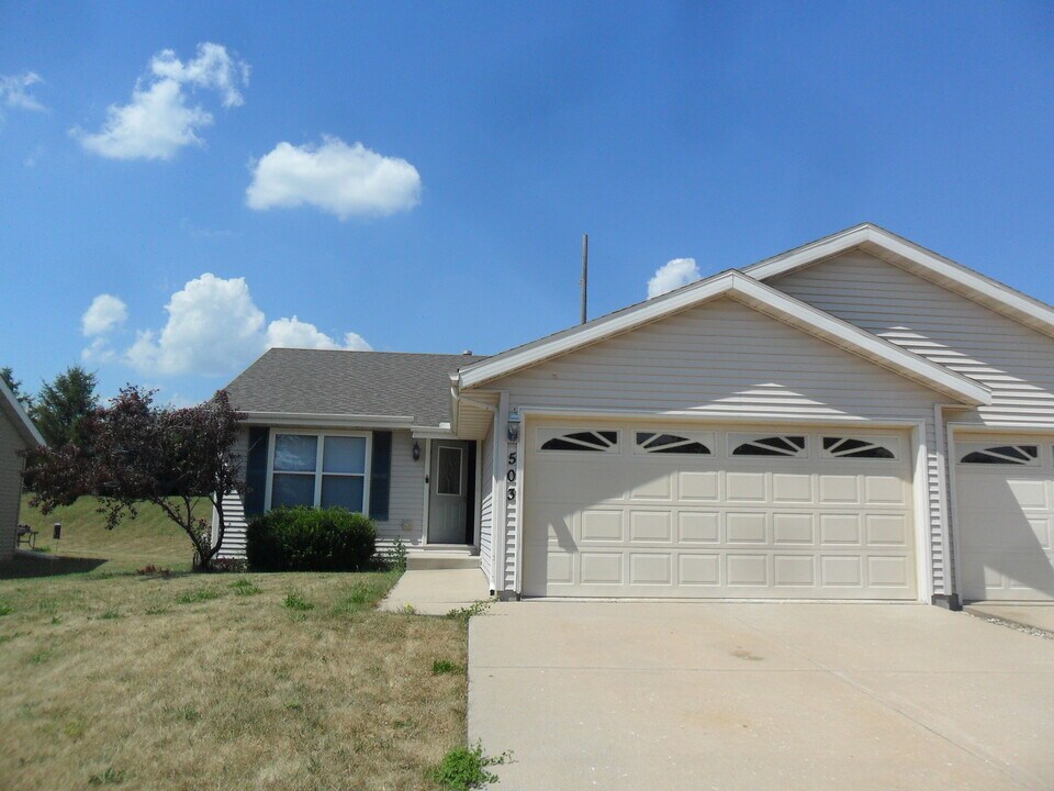 503 Davidson Dr in Minooka, IL - Building Photo