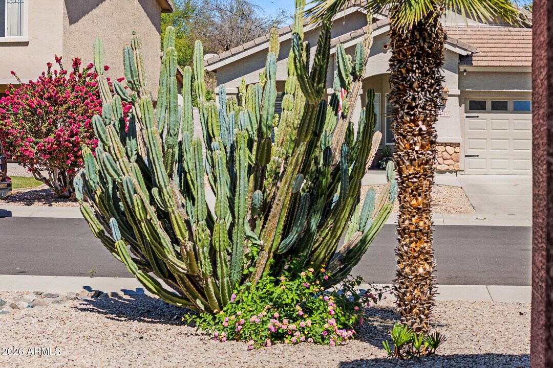 8373 W Mary Ann Dr in Peoria, AZ - Building Photo