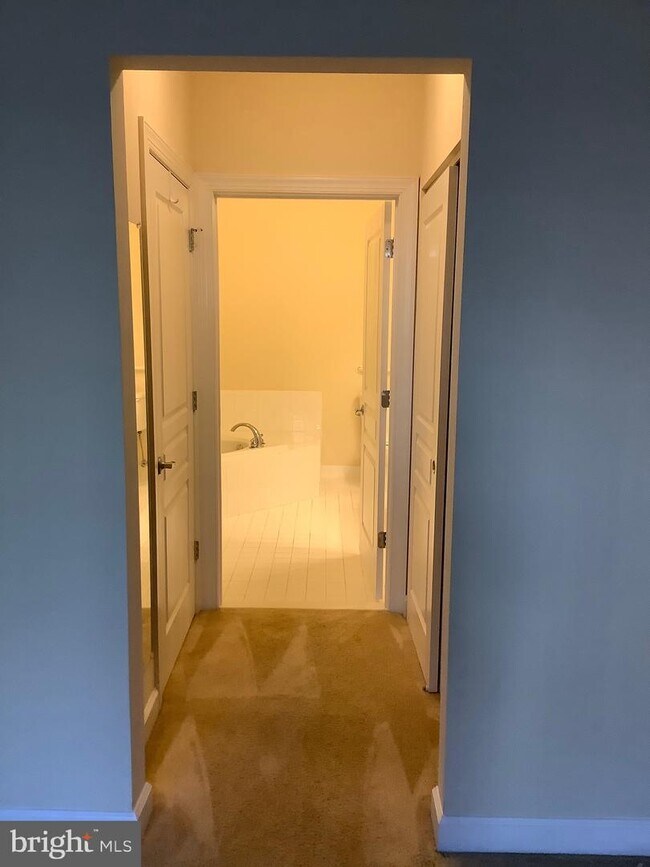 7871 Rolling Woods Ct-Unit -104 in West Springfield, VA - Building Photo - Building Photo
