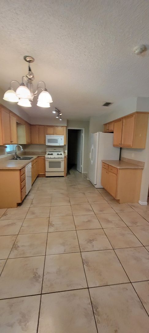 2220 NW 14th Ave in Gainesville, FL - Building Photo - Building Photo