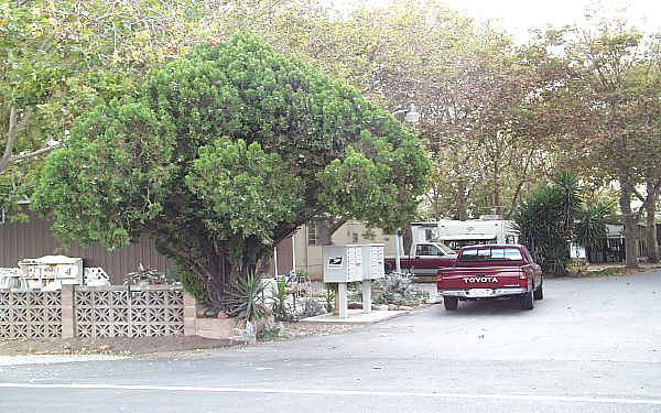 B&G Mobile Home Park & RV Storage in Acampo, CA - Building Photo