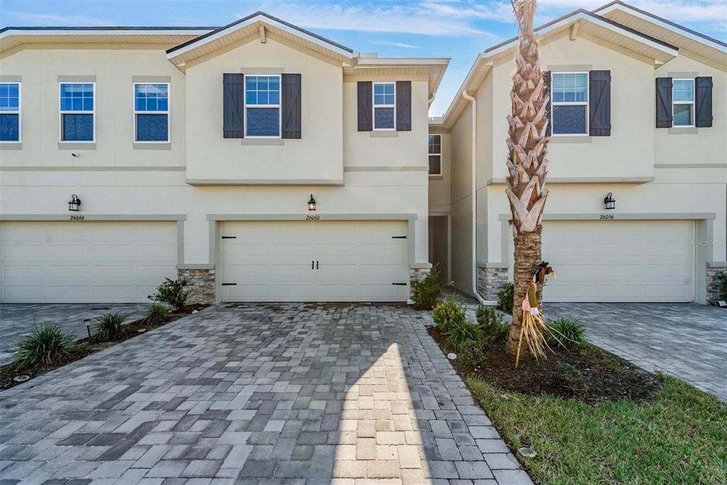 26060 Fantasy Sky Ln in Lutz, FL - Building Photo