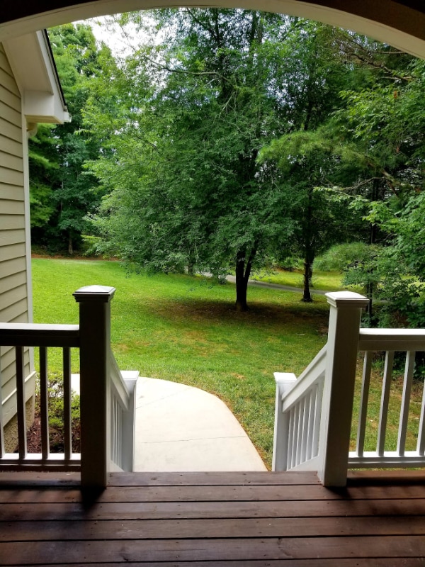 32 Tempie Ln in Arden, NC - Building Photo - Building Photo