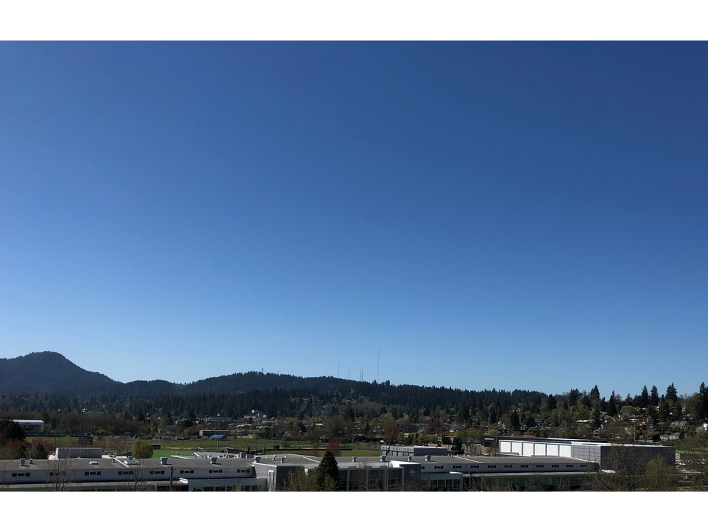 Ferry Street Flats Apartments in Eugene, OR