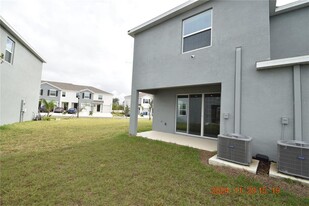 419 Mangrove Shade Cir in Apollo Beach, FL - Building Photo - Building Photo