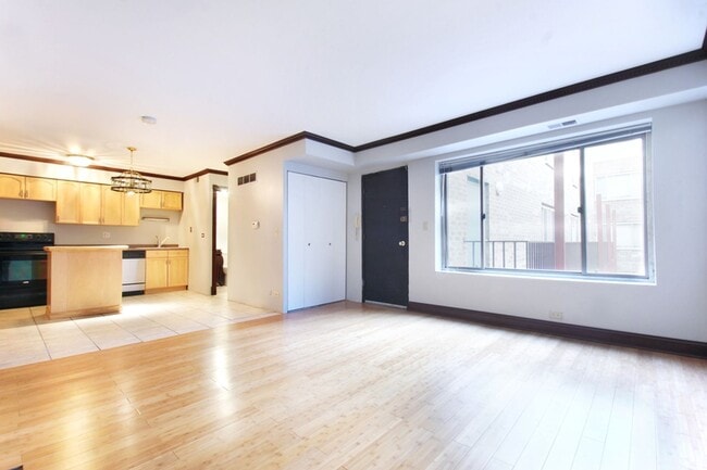 745 W Gordon Ter, Unit 313 in Chicago, IL - Building Photo - Building Photo