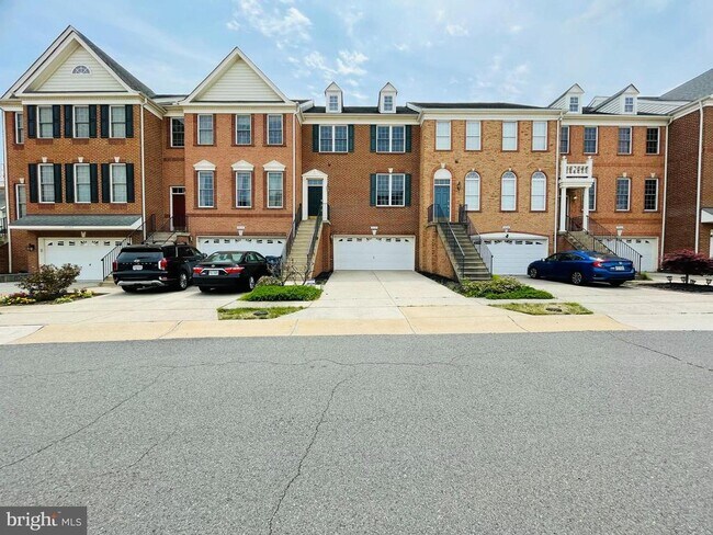 25249 Bald Eagle Terrace in South Riding, VA - Building Photo - Building Photo