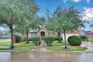 8318 Lemonmint Meadow Dr in Katy, TX - Building Photo