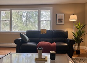 74 N Whitney St in Amherst, MA - Building Photo