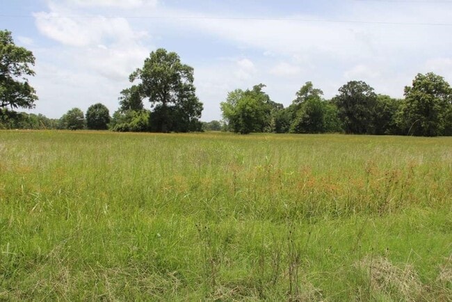 property at 203 Ferguson Dr