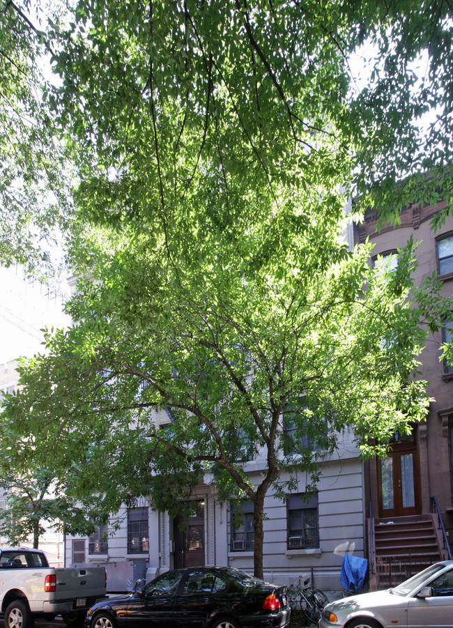 63 Fort Greene Pl in Brooklyn, NY - Foto de edificio - Building Photo