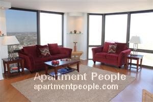 2650 N Lakeview Ave-Unit -3601 in Chicago, IL - Building Photo - Building Photo