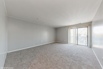 960 S River Rd in Des Plaines, IL - Building Photo - Building Photo