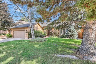 8247 Lodgepole Trail in Lone Tree, CO - Building Photo - Building Photo