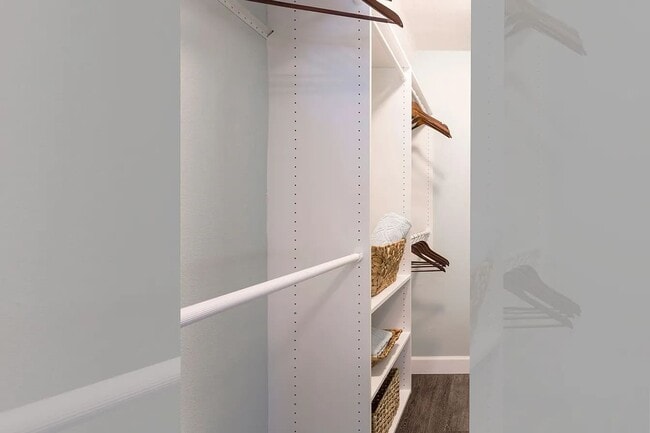 5707 Beau Barton Pl in Orlando, FL - Building Photo - Building Photo