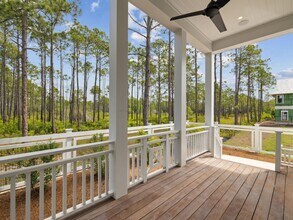 262 Climbing Rose Wy in Santa Rosa Beach, FL - Building Photo - Building Photo