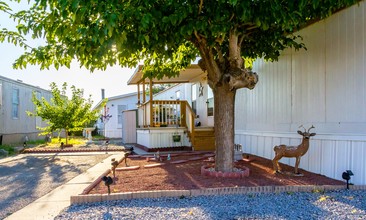 10333 Grouse Rd in El Paso, TX - Building Photo - Building Photo