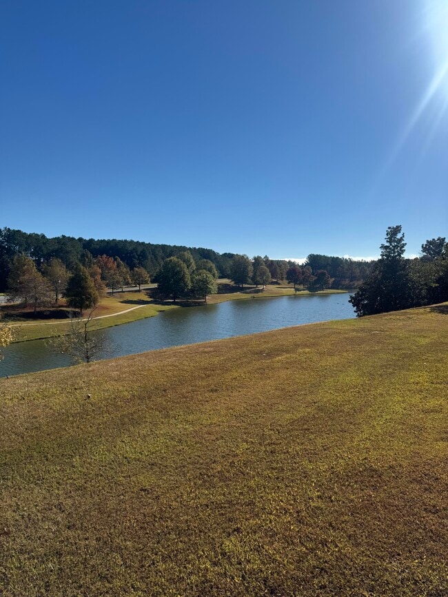 1017 Fairbank Ln in Chelsea, AL - Foto de edificio - Building Photo
