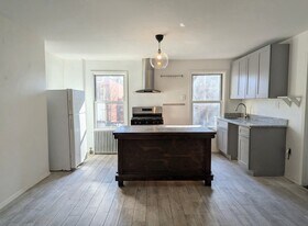 133 Dikeman St in Brooklyn, NY - Building Photo