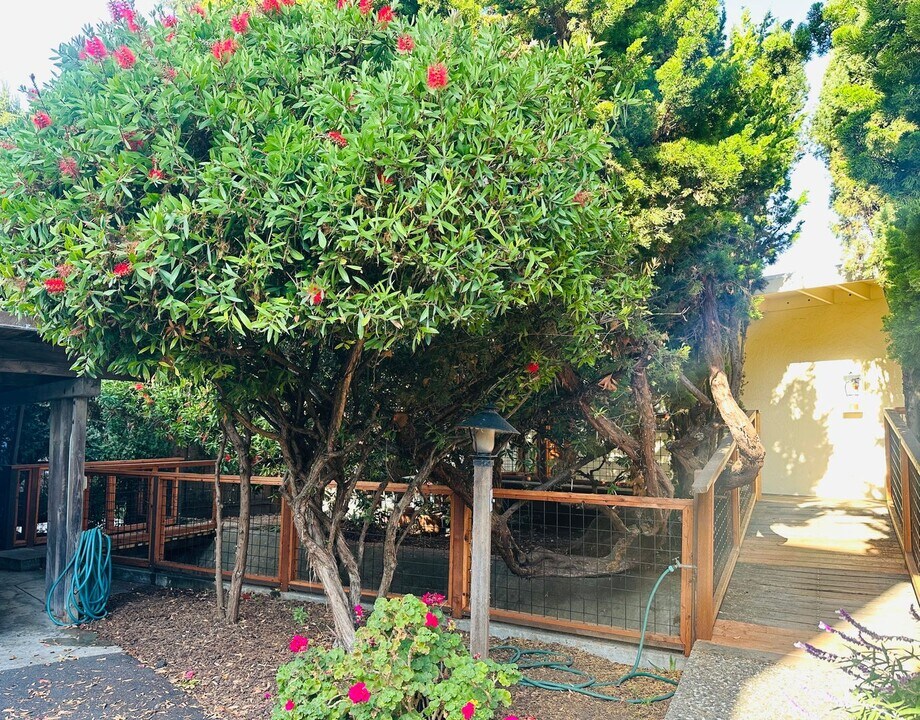 6135 Chabot Rd in Oakland, CA - Building Photo