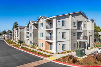 Fair Oaks Senior in Fair Oaks, CA - Foto de edificio - Primary Photo