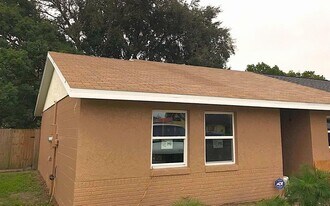 6916 Longmeade Ln in Orlando, FL - Building Photo