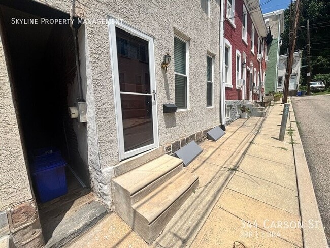 344 Carson St in Philadelphia, PA - Building Photo - Building Photo