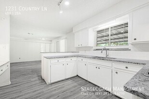 1231 Country Ln in Conroe, TX - Building Photo