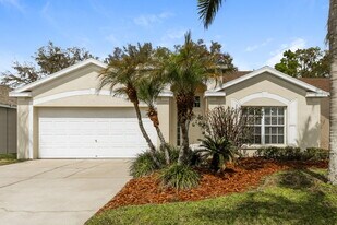 26817 Affirmed Dr in Zephyrhills, FL - Building Photo