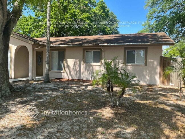 411 Brandywine Dr in Valrico, FL - Foto de edificio - Building Photo