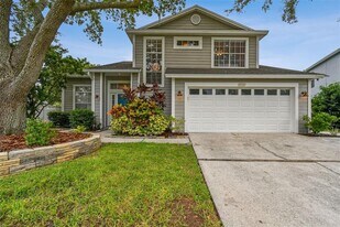 17737 Esprit Dr in Tampa, FL - Building Photo