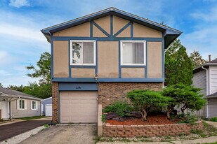 214 Far Hills Dr in Bolingbrook, IL - Building Photo