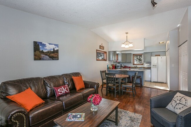559 Blue River Rd in Breckenridge, CO - Building Photo - Building Photo
