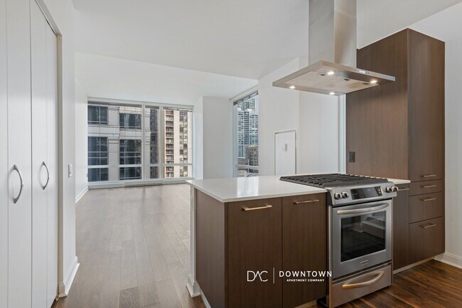 203 N La Salle Dr in Chicago, IL - Building Photo - Building Photo