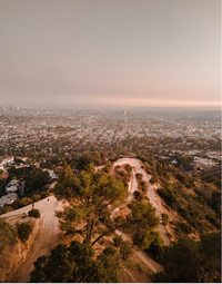 Bloom on Hayworth in Los Angeles, CA - Foto de edificio - Building Photo