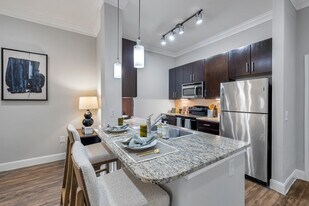 Braeswood Place in Houston, TX - Building Photo