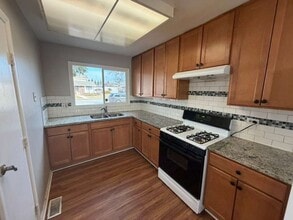 1321 Court O in Hanover Park, IL - Building Photo - Building Photo